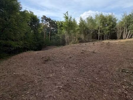 terrain rare de 4238m2