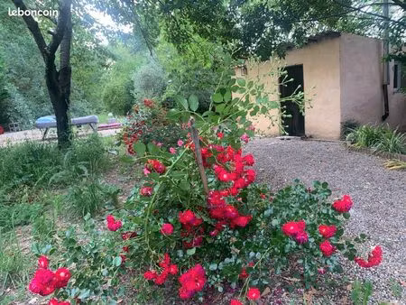 terrain agricole avec cabanon