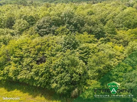 terrain 50125 m² leudeville
