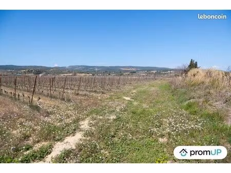 terrain 41 115 m² peyriac de mer