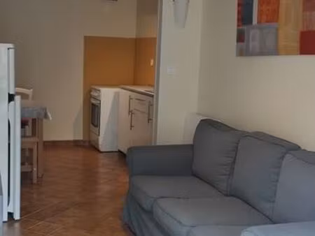 maison de village avec terrasse et jardin