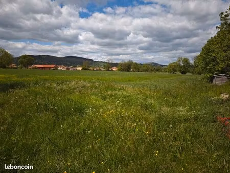 terrain solignac sur loire 10600 m²