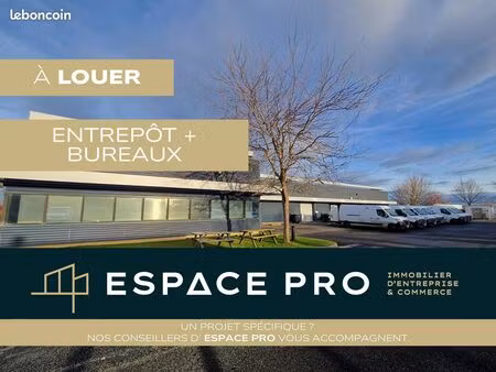 local 1440 m² ifs