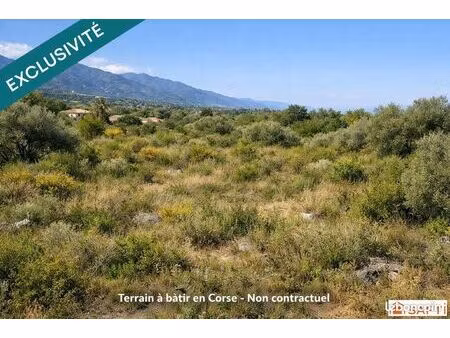 terrain 2145 m² poggio-mezzana