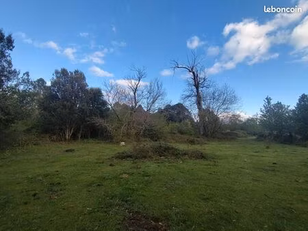 terrain 3 000 m² quenza