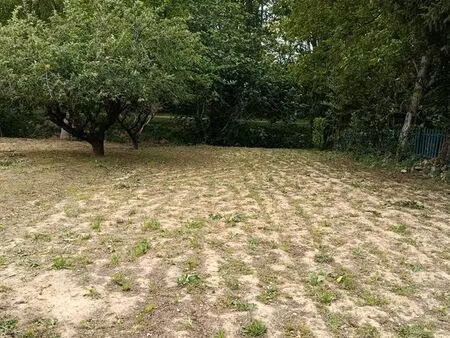 terrain constructible