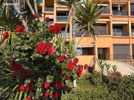 studio 1 pièce 34 m²