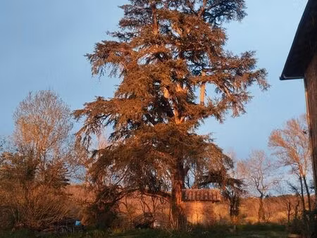 propriété 18e a vendre parc près de 3h arbore de chênes et cèdres de l atlas multicentenai