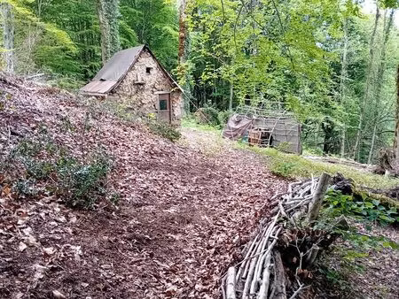 terrain de loisir ou agricole  petite grange