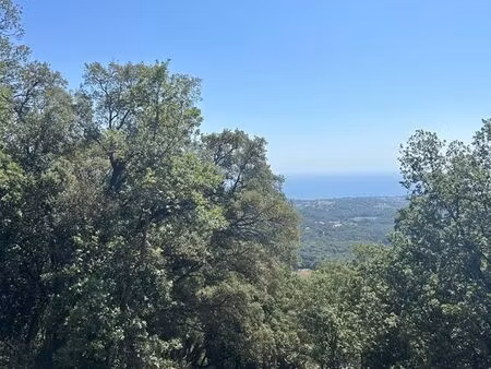terrain 2700 m² cervione