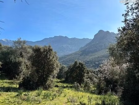 terrain constructible -calenzana