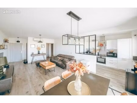 appartement t3 66 77 m² avec grande terrasse