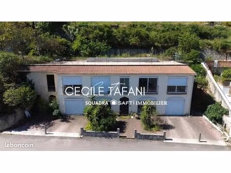 immeuble 212 m² sartene