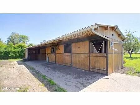 pature box chevaux