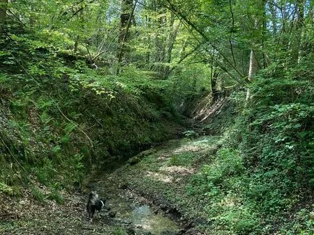 7 ha de bois  prés et ruisseau avec maison à rénover