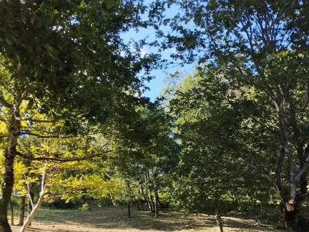 terrain constructible viabilisé de 1740 m2
