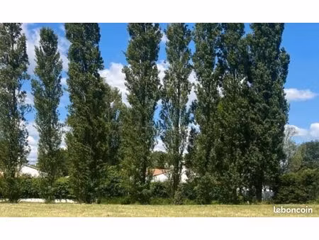 terrain 500 m² bretignolles sur mer