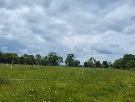 terrain agricole
