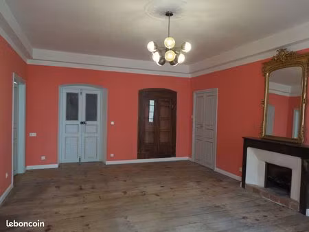 grand appartement bourgeois lumineux
