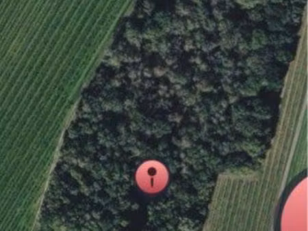 parcelle de forêt
