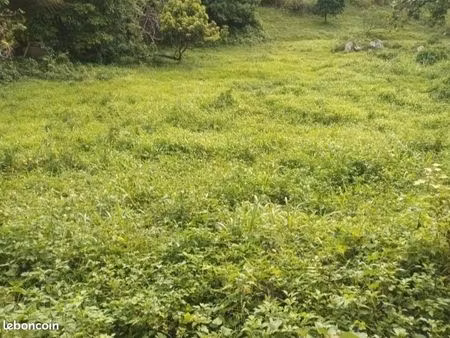 vente terrain morne-a-l'eau st giron