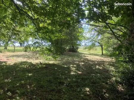 terrain agricole