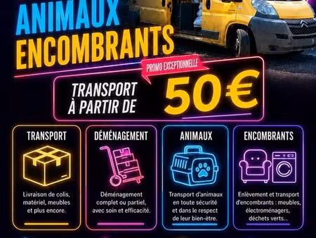 transport