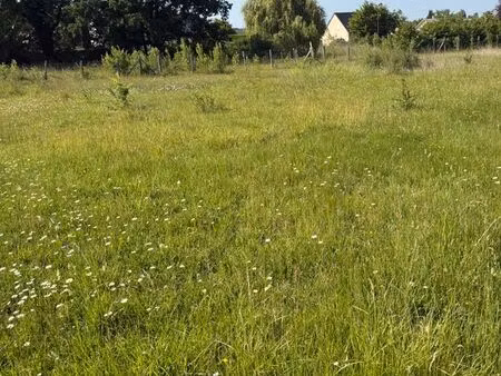 terrain constructible
