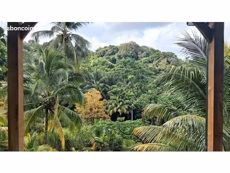 terrain 1500m2 et bungalow autonome
