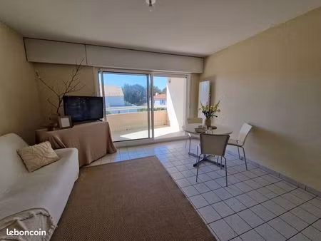 la pironniere appartement t2 + parking + cave