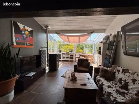 maison avec grand terrain