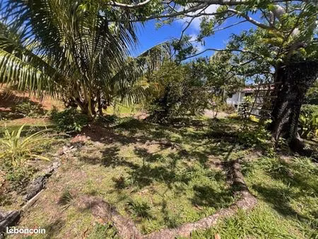 terrain 448 m² riviere pilote