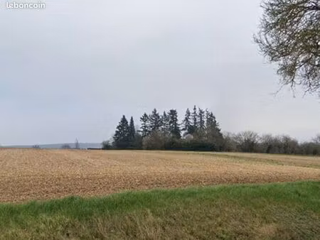 terrain 1 200 m² allogny