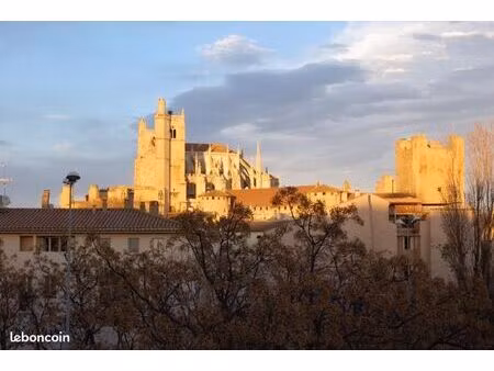 centre-ville narbonne : grand t3 de caractère (110 m²) avec terrasse et vue cathédrale