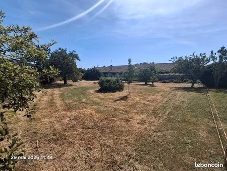 terrain constructible