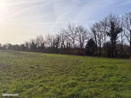 terrain 305 m² saint rogatien