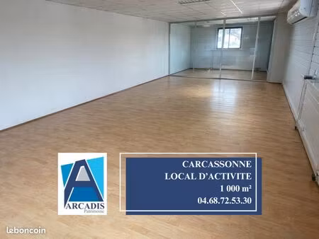 local 1000 m² carcassonne