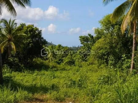 terrain 1 000 m² saint leu