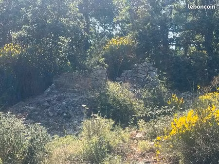 terrain de 300 m2 à louer pour l’installation de ruche zone verte