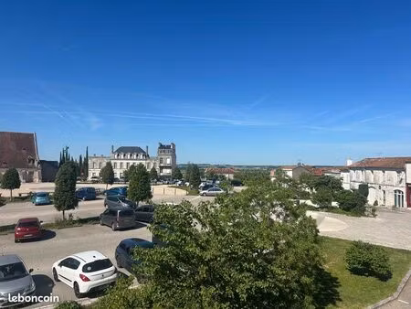 t3 lumineux avec vue dominante place du château