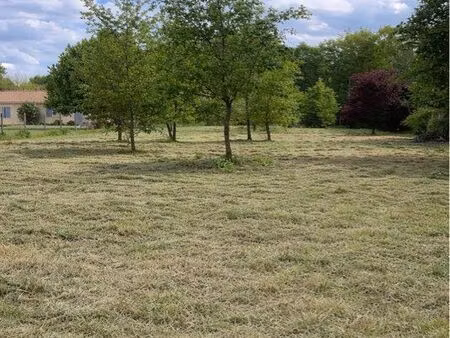 terrain à bâtir