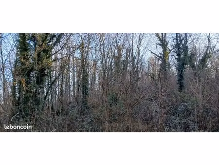 parcelle bois