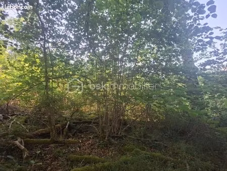 terrain 3 321 m² saint front la riviere