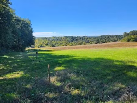 terrain 1 000 m² la chapelle gonaguet
