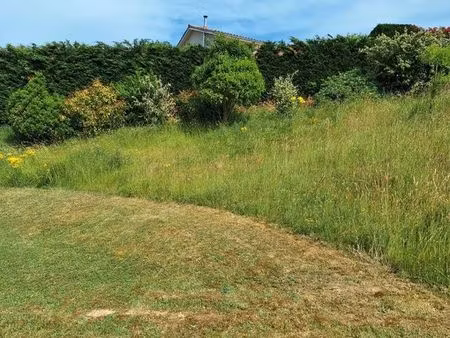 vente terrain constructible viabilisé avec logette