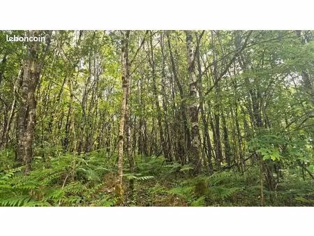 terrain 59 000 m² vergt