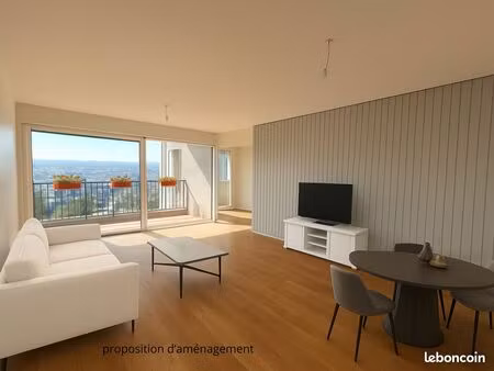 appartement spacieux-5 pièces-cachan-vue panoramique