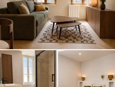 appartement centre ville t2 51m2 entièrement rénové