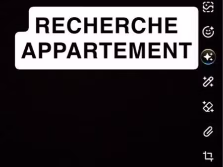 recherche appartement t3