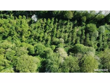 terrain à louer (bois pour animaux ou apiculteur)